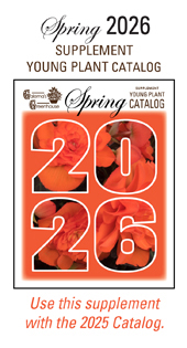 2026 YP Supplement